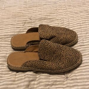 Animal print slides